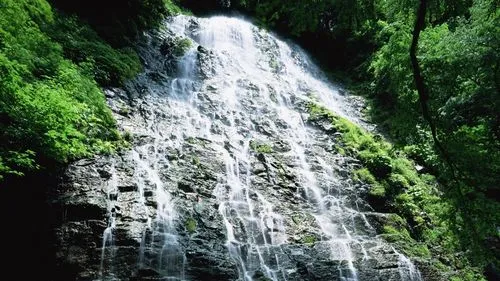 绿色高端精密